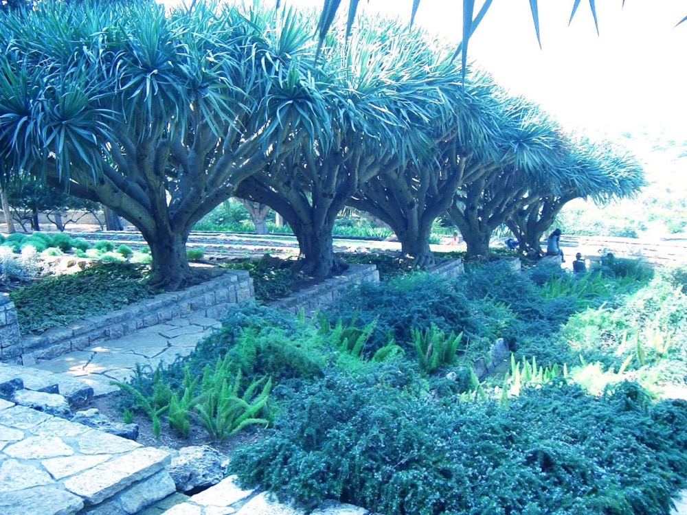 Ramat HaNadiv